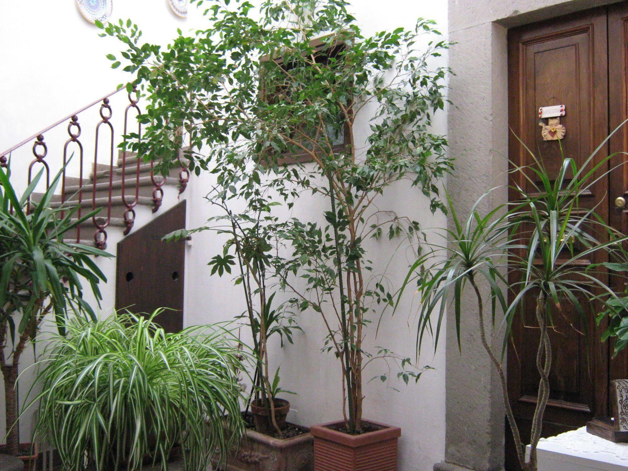 Bb Santa Rosa Bed and Breakfast Viterbo Eksteriør billede